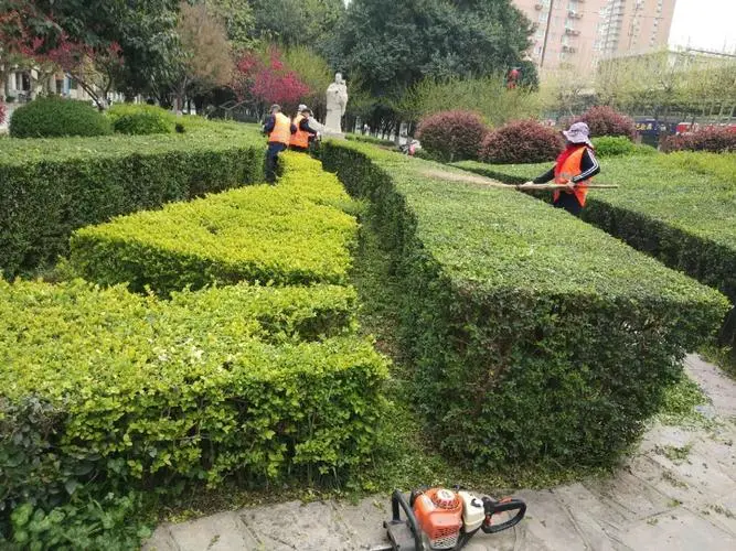 三门峡鸿润城一期绿化工程