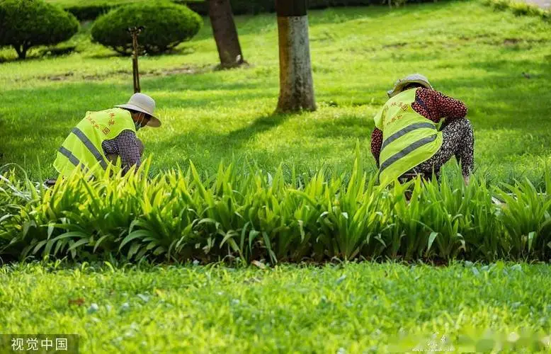 城市风景园林：管理不力导致公共空间的荒废